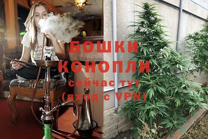 Шишки марихуана Ganja  где найти наркотики  Егорьевск 